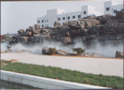 ��̬����