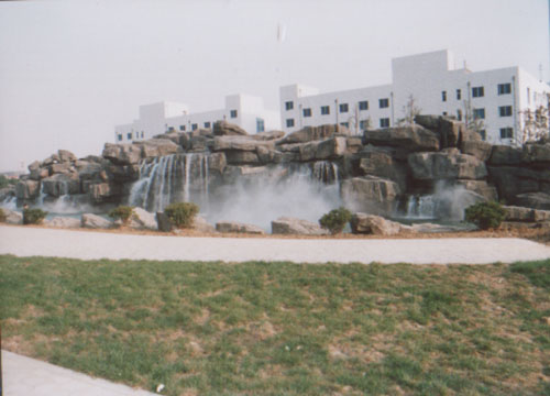 ��̬����