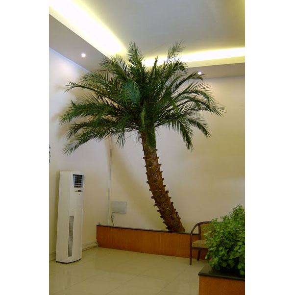 ��ɽ�ٲ���ǽ