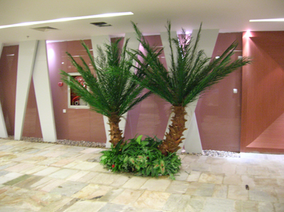 ��ɽ�ٲ���ǽ