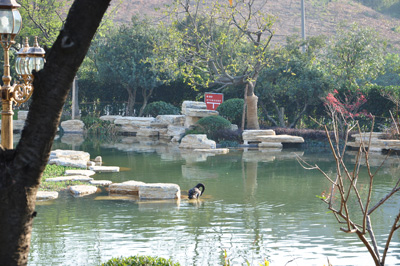 ��ɽ�ٲ���ǽ