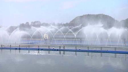 ������Ȫ