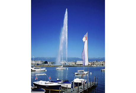 ���׸���