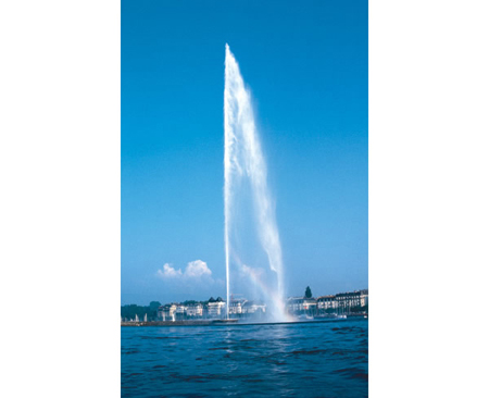 ���׸���