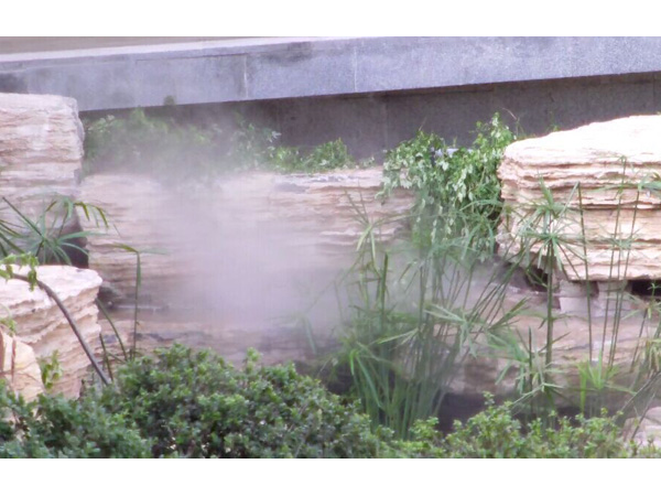 �Ͼ�����Ƶ���ɭ