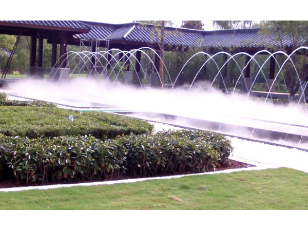 �Ͼ�����Ƶ����Ȫ��ɭ