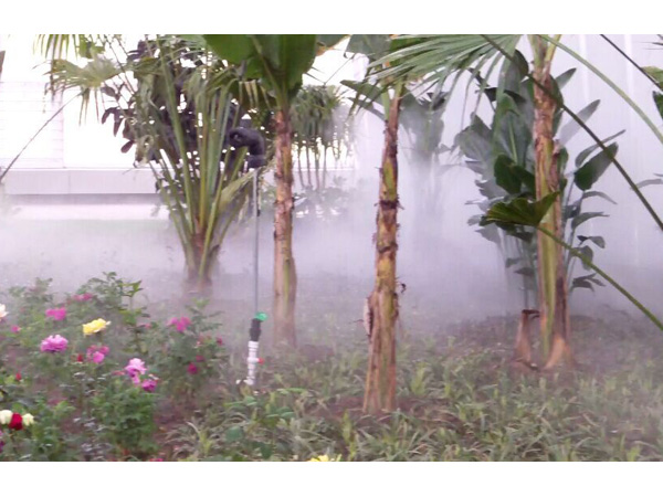 ��Եҩҵ��ɭ3