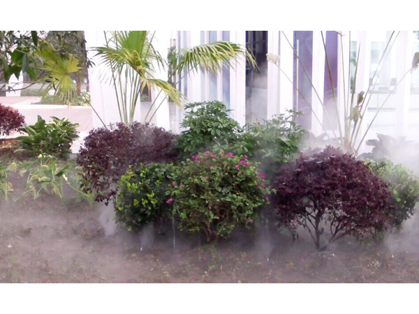 ��Եҩҵ��ɭ1