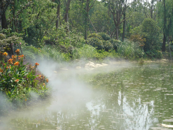 �����к�õ��԰��ɭ��