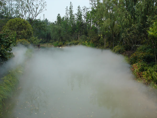 �����к�õ��԰��ɭ��